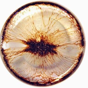 Meet your Posher, W.m.